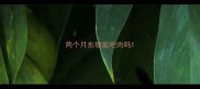 两个月东德能吃肉吗