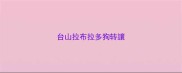 台山拉布拉多狗转讓