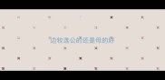 边牧选公的还是母的好