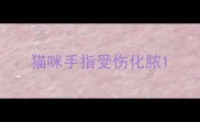 猫咪手指受伤化脓