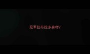 冠军拉布拉多身材
