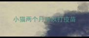 小猫两个月可以打疫苗
