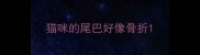 猫咪的尾巴好像骨折