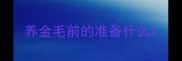 养金毛前的准备什么