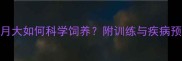 昆明犬4个月大如何科学饲养附训练与疾病预防全攻略