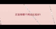 买宠物哪个网站比较好