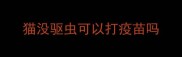 猫没驱虫可以打疫苗吗