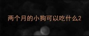 两个月的小狗可以吃什么