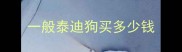 一般泰迪狗买多少钱