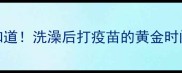 打疫苗前必须知道洗澡后打疫苗的黄金时间表和注意事项