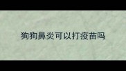 狗狗鼻炎可以打疫苗吗
