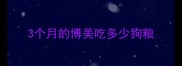 3个月的博美吃多少狗粮