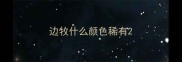 边牧什么颜色稀有