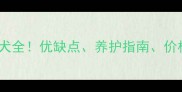 金毛拉布拉多混血犬全优缺点养护指南价格行情附对比图