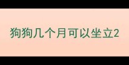 狗狗几个月可以坐立