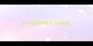 4个月的狗狗喂多少狗粮呢