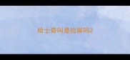 哈士奇叫是拉屎吗