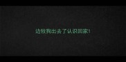 边牧狗出去了认识回家