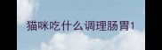 猫咪吃什么调理肠胃