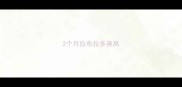 2个月拉布拉多身高