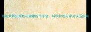 泰迪犬鼻头颜色与健康的关系全科学护理与常见误区指南