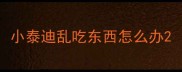 小泰迪乱吃东西怎么办