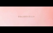 泰迪心脏肥大怎么办
