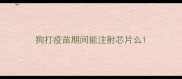 狗打疫苗期间能注射芯片么