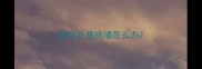 边牧总是挠墙怎么办