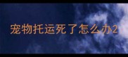 宠物托运死了怎么办