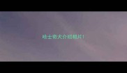 哈士奇犬介绍相片