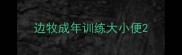 边牧成年训练大小便