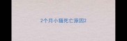2个月小猫死亡原因