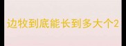 边牧到底能长到多大个