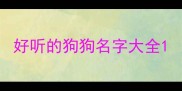 好听的狗狗名字大全