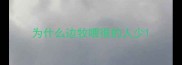 为什么边牧喂很的人少