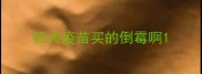 狂犬疫苗买的倒霉啊