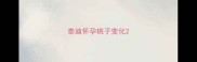 泰迪怀孕桃子变化