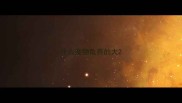 什么宠物龟养的大