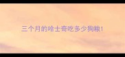 三个月的哈士奇吃多少狗粮