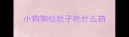 小狗狗拉肚子吃什么药