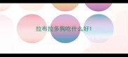 拉布拉多狗吃什么好