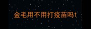 金毛用不用打疫苗吗