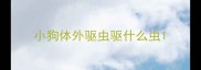 小狗体外驱虫驱什么虫