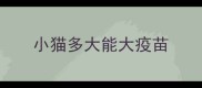 小猫多大能大疫苗