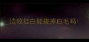 边牧挂白能拔掉白毛吗