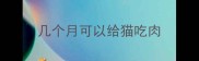 几个月可以给猫吃肉