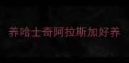 养哈士奇阿拉斯加好养
