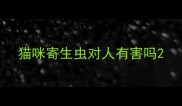猫咪寄生虫对人有害吗