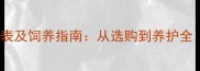 纯种金毛犬价格表及饲养指南从选购到养护全附最新行情